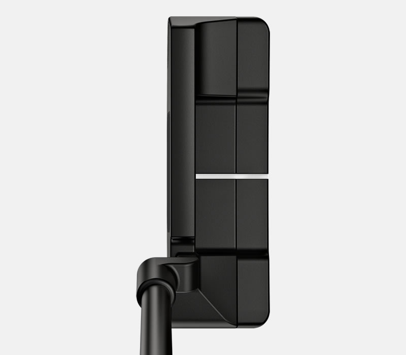 address view of New PING Anser 2D putter